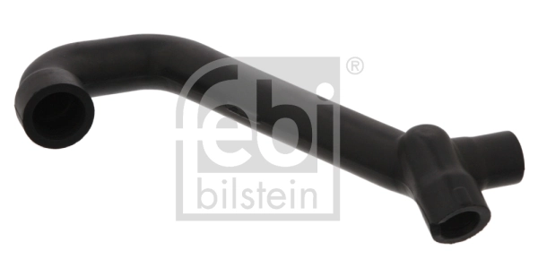 Hose, crankcase ventilation